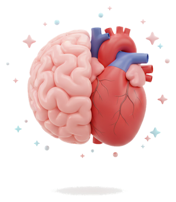 Brain and heart illustration